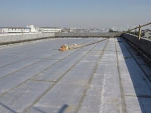 圖 浦東區陸家嘴防水補漏公司專業承接防水補漏項目施工 上海房屋維修