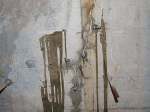 麗水地下室堵漏