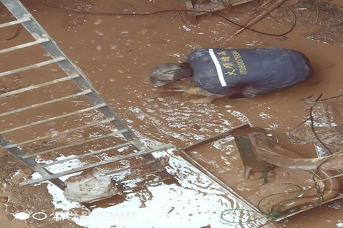大壩堵漏,窨井堵漏防滲絮凝封堵原理