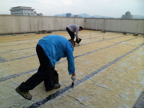 中山房屋補漏公司中山天面防水公司價格 中山房屋補漏公司中山天面防水公司型號規格