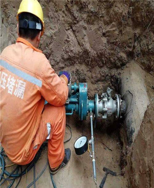 夏邑市政用維修用堵水氣囊睿航產(chǎn)品質(zhì)量好-夏邑公司動態(tài)-夏.