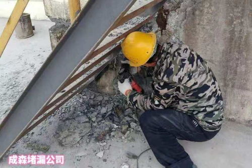 2021歡迎訪問 西安污水池堵漏本地公司 實業(yè)集團