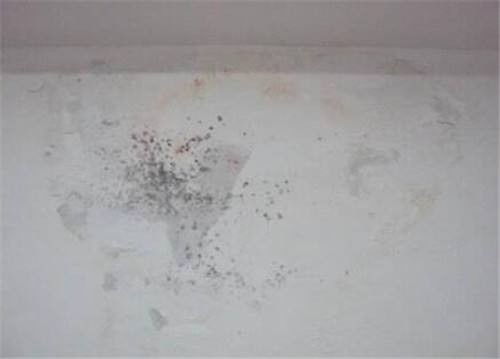 圖 廣州市從化上門防水補漏公司價格多少錢 廣州房屋維修