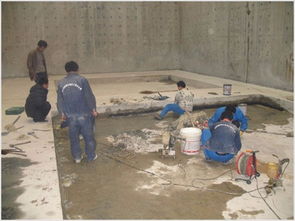 南海桂城彩鋼瓦鋅鐵瓦防水補漏服務(wù)工程